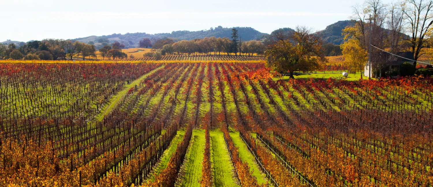 WELCOME TO NORTH BAY INN SANTA ROSA BUDGET-FRIENDLY HOTEL IN THE HEART OF SANTA ROSA